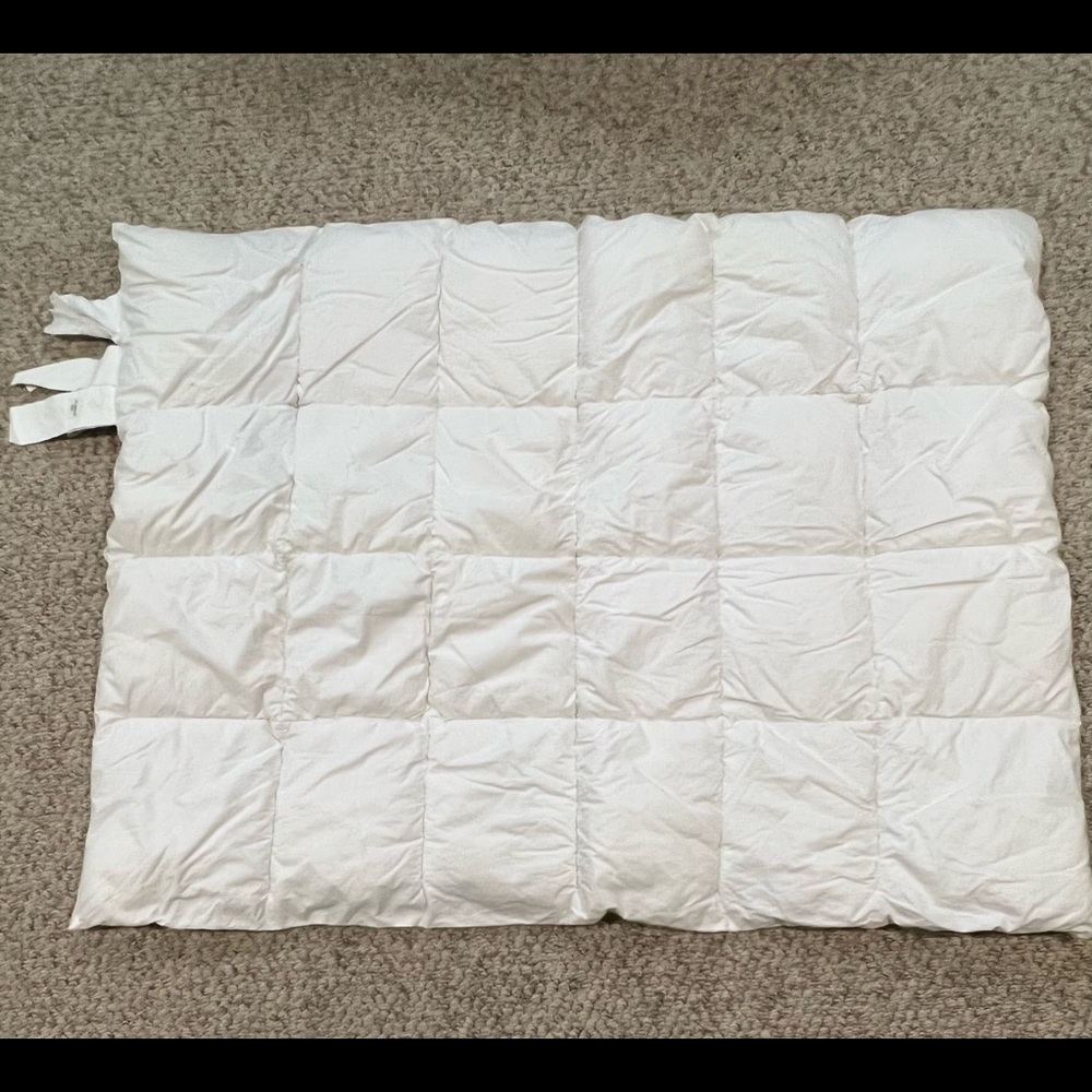 Pottery Barn Kids Quallowarm Duvet Insert